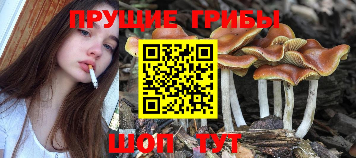 Галлюциногенные грибы мухоморы Лабытнанги