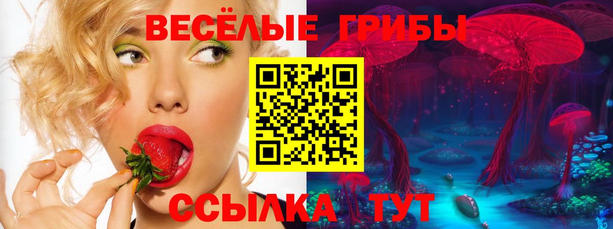 Лабытнанги  Псилоцибиновые грибы ЛСД  Псилоцибиновые грибы Psilocybine cubensis  купить закладку  Вход с VPN 